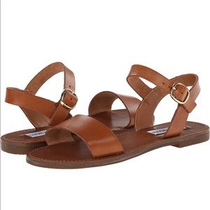 Steve Madden Donddi Sandal